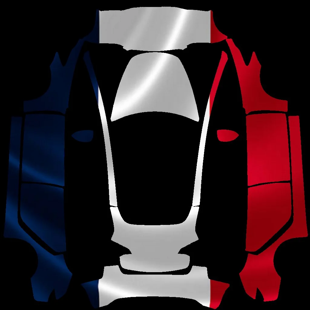 法国国旗特斯拉