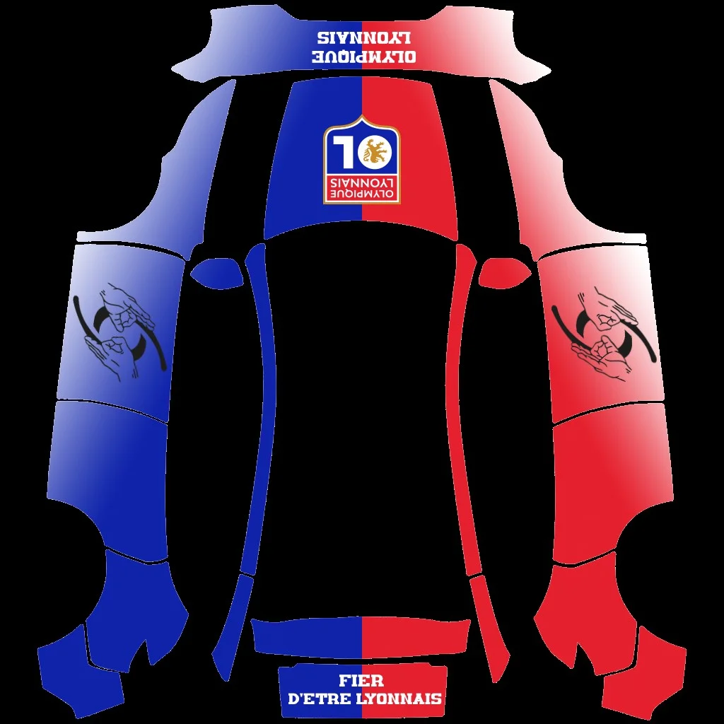 法国里昂足球俱乐部主题皮肤